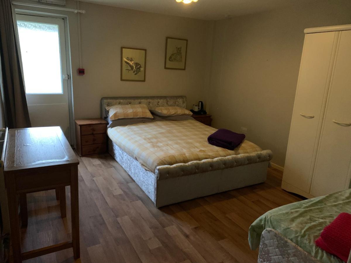 Hafan Y Coed - Haven Of Trees Bed & Breakfast Abercraf Eksteriør bilde